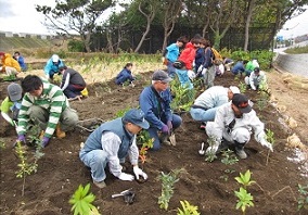 植樹作業hpIMG_0443[1].jpg